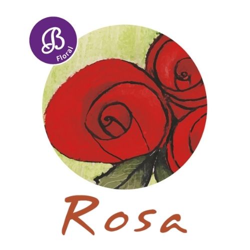 rosa